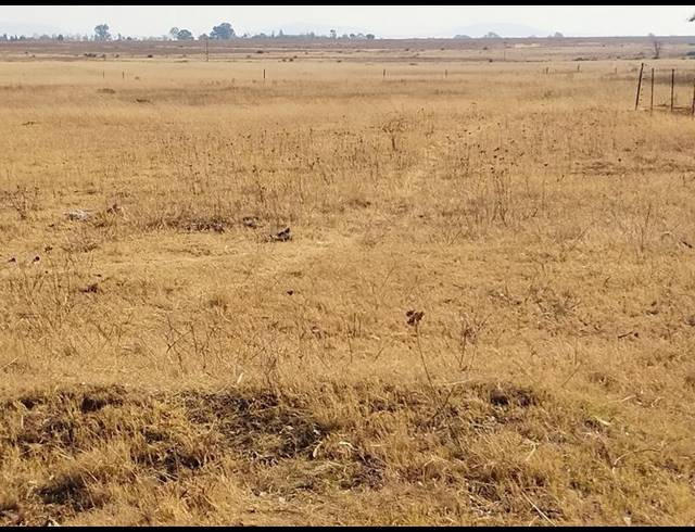 FARM FOR SALE IN RIETSPRUIT